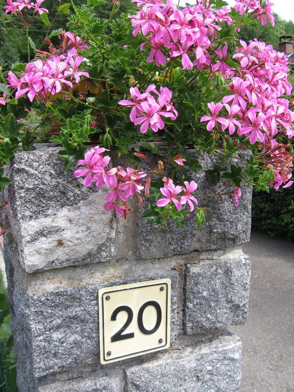 Gite Plein Sud Metzeral Exterior photo