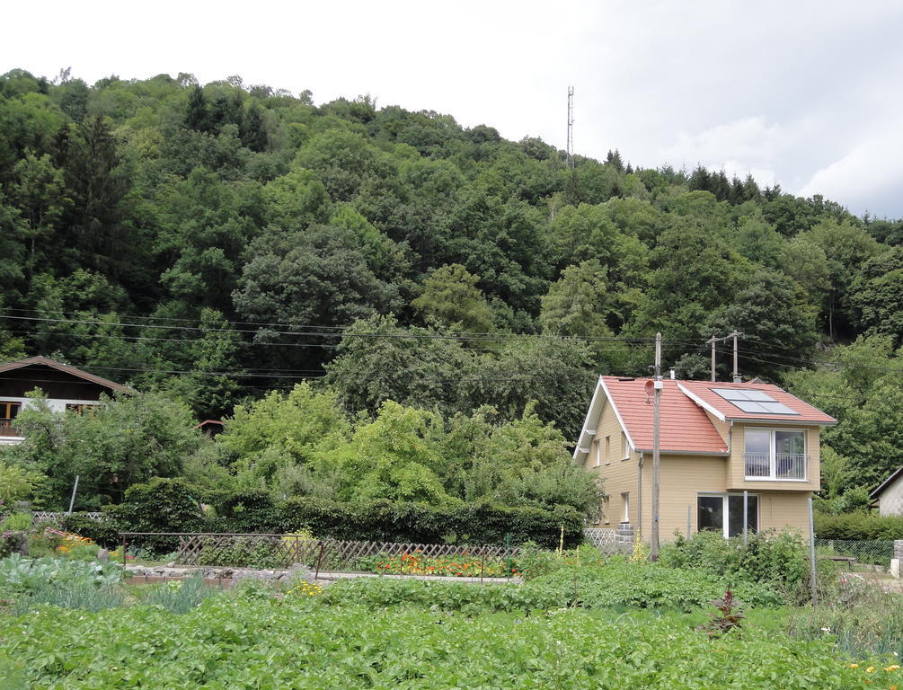 Gite Plein Sud Metzeral Exterior photo